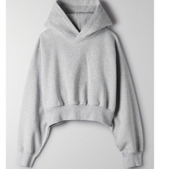 TNA Tops - Aritzia Tna Cozy Fleece Perfect Shrunken Hoodie